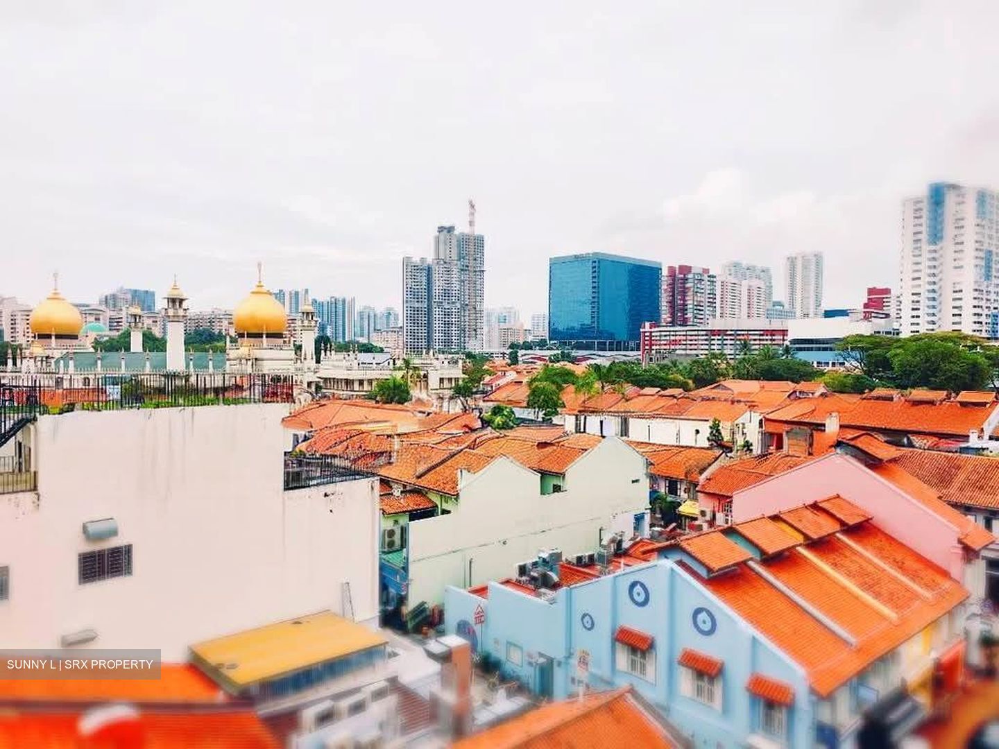 Arab Street (D7), Retail #576250041